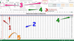 Cara Coding Data Kuesioner: Panduan Langkah demi Langkah