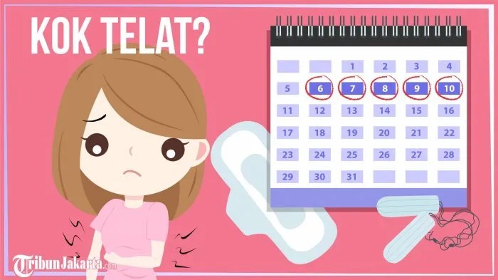 Cara membuat menstruasi teratur