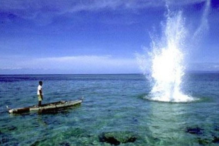 Cara bikin bom ikan