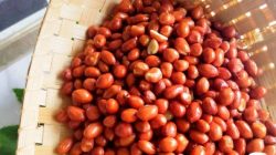 Kacang goreng bawang renyah asahid tehyung
