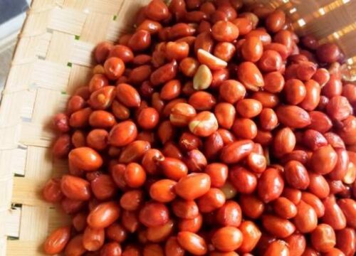 Cara Goreng Kacang Tanah Renyah dan Gurih