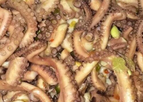 Cara Bikin Umpan Gurita: Panduan Lengkap