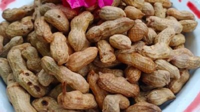 Cara Merebus Kacang Tanah: Panduan Lengkap untuk Camilan Gurih