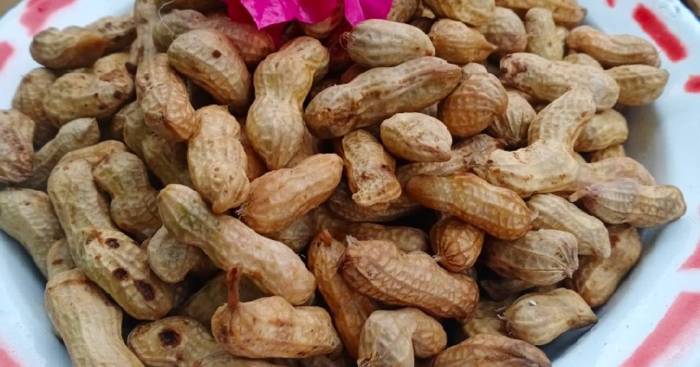 Cara rebus kacang tanah