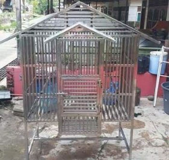 Cara membuat kandang burung beo