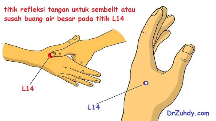 Bagaimana cara bab lancar