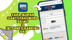 Cara Ganti Password BRImo: Panduan Aman dan Cepat