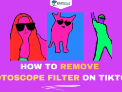 Cara Hilangkan Filter Rotoscope TikTok dalam Sekejap