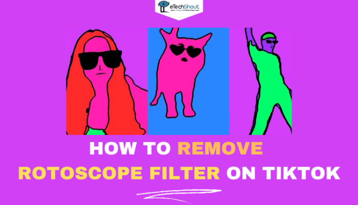 Cara menghilangkan filter rotoscope tiktok