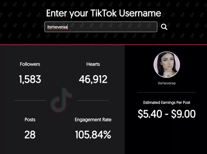 Cara cek penghasilan tiktok