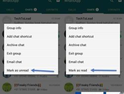 Cara Rahasia agar Notifikasi WA Tak Terbaca, Bikin Penasaran!
