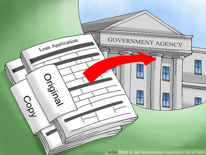 Cara daftar bantuan pemerintah