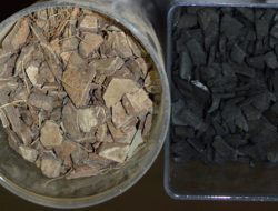 Cara Membuat Briket Batok Kelapa: Panduan Langkah demi Langkah
