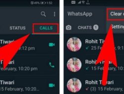 Hapus Panggilan WhatsApp: Panduan Langkah demi Langkah untuk Android dan iOS