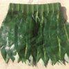 Membuat Rok Unik dari Daun Nangka: Panduan Kreatif