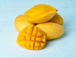 Panduan Memilih Mangga Harum Manis yang Sempurna