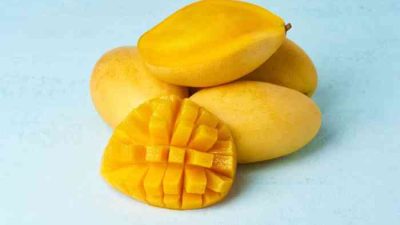 Cara memilih mangga harum manis