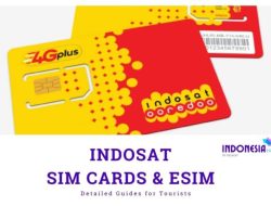 Cara Mudah Mengetahui Umur Kartu Indosat, Praktis dan Cepat!