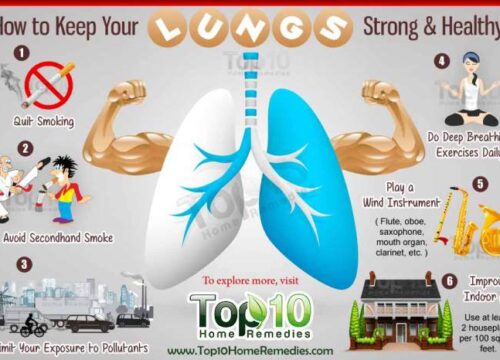 Panduan Lengkap Menjaga Kesehatan Organ Pernapasan