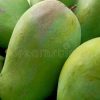 Cara Memilih Mangga Harum Manis: Panduan Lengkap