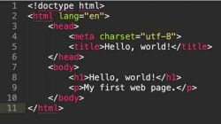 Cara membuat website dengan coding