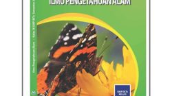 Kkm kurikulum 2013 smp kelas 7
