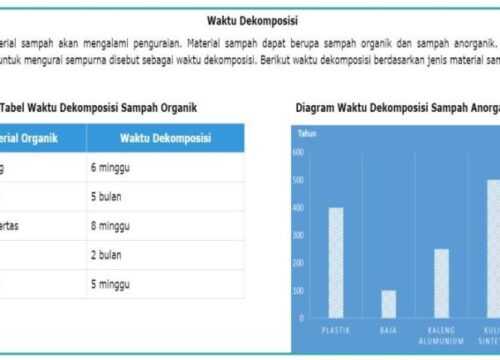 Contoh Soal AKM SD PDF Panduan Lengkap