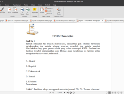 Contoh Soal PPPK 2021 PDF Panduan Lengkap