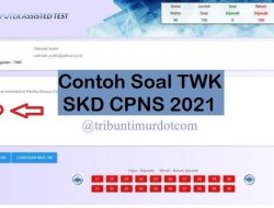 Bocoran Soal CPNS 2017 Analisis dan Dampaknya