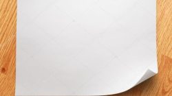 RPP 1 Lembar Kelas 2 SD Panduan Lengkap