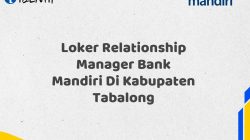 Loker Relationship Manager Bank Mandiri Di Kabupaten Tabalong Tahun 2025 (Ayo Daftar Sekarang)