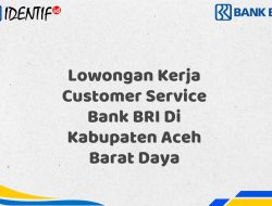 Lowongan Kerja Customer Service Bank BRI Di Kabupaten Aceh Barat Daya Tahun 2025 (Daftar Sekarang)