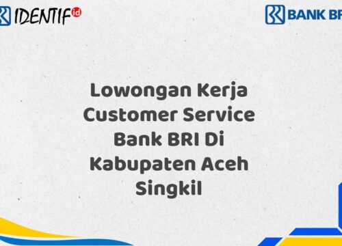 Lowongan Kerja Customer Service Bank BRI Di Kabupaten Aceh Singkil Tahun 2025