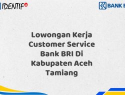 Lowongan Kerja Customer Service Bank BRI Di Kabupaten Aceh Tamiang Tahun 2025 (Daftar Sekarang)