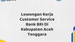 Lowongan Kerja Customer Service Bank BRI Di Kabupaten Aceh Tenggara Tahun 2025 (Buruan Daftar Sekarang)