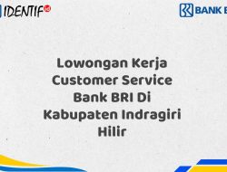Lowongan Kerja Customer Service Bank BRI Di Kabupaten Indragiri Hilir Tahun 2025