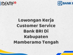 Lowongan Kerja Customer Service Bank BRI Di Kabupaten Mamberamo Tengah Tahun 2025