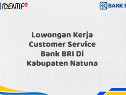 Lowongan Kerja Customer Service Bank BRI Di Kabupaten Natuna Tahun 2025 (Lamar Sekarang)