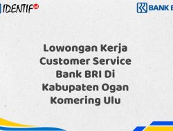 Lowongan Kerja Customer Service Bank BRI Di Kabupaten Ogan Komering Ulu Tahun 2025 (Lamar Sekarang)