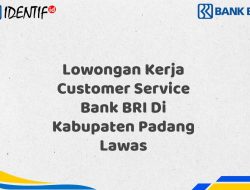 Lowongan Kerja Customer Service Bank BRI Di Kabupaten Padang Lawas Tahun 2025