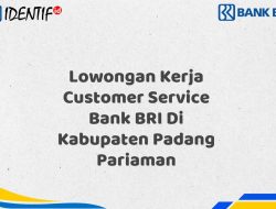 Lowongan Kerja Customer Service Bank BRI Di Kabupaten Padang Pariaman Tahun 2025 (Buruan Daftar Sekarang)