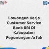 Lowongan Kerja Customer Service Bank BRI Di Kabupaten Pegunungan Arfak Tahun 2025 (Segera Daftar Sebelum Terlambat)