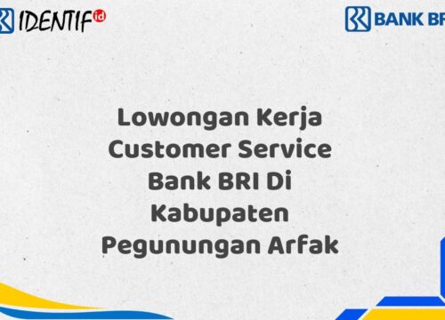 Lowongan Kerja Customer Service Bank BRI Di Kabupaten Pegunungan Arfak Tahun 2025 (Segera Daftar Sebelum Terlambat)