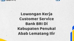 Lowongan Kerja Customer Service Bank BRI Di Kabupaten Penukal Abab Lematang Ilir