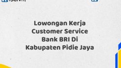 Lowongan Kerja Customer Service Bank BRI Di Kabupaten Pidie Jaya Tahun 2025 (Buruan Daftar Sekarang)