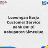 Lowongan Kerja Customer Service Bank BRI Di Kabupaten Simeulue Tahun 2025 (Daftar Sekarang)