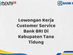 Lowongan Kerja Customer Service Bank BRI Di Kabupaten Tana Tidung Tahun 2025 (Lamar Sekarang)