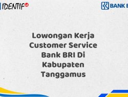 Lowongan Kerja Customer Service Bank BRI Di Kabupaten Tanggamus Tahun 2025 (Yang Wajib Anda Ketahui)