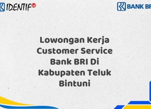 Lowongan Kerja Customer Service Bank BRI Di Kabupaten Teluk Bintuni Tahun 2025 (Resmi)