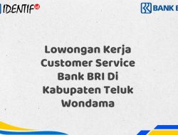 Lowongan Kerja Customer Service Bank BRI Di Kabupaten Teluk Wondama Tahun 2025 (Ayo Daftar Sekarang)